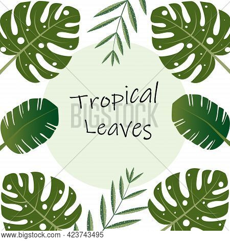 Green Tropical Palm Leaves, Tropical Leaves Frame, Vector