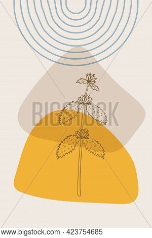 White Horehound, Abstract, Poster, Minimal Dd Ww