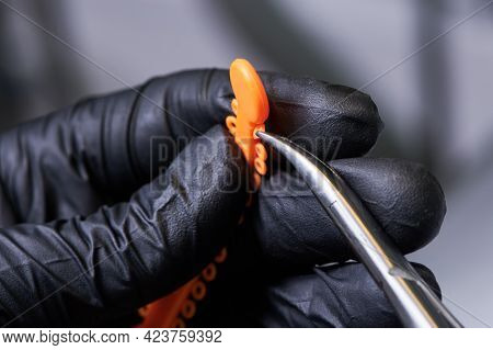 Macro Snapshot Of A Hand In Black Glove Holding Orange Set Of Rubber Bands For Braces And Steel Forc