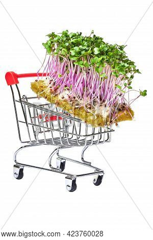 There Are Micrograins In The Basket. The Young Cress Shoots Are Piled In The Basket. The Concept Of 