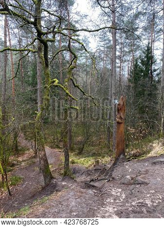 Wooden Sculpture of a fairy at the edge of the fairy path in Virton, Luxembourg, Belgium