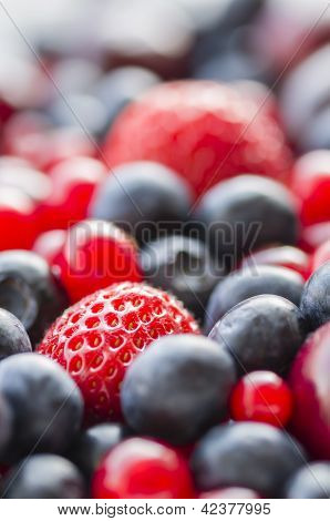 Assorted Berries