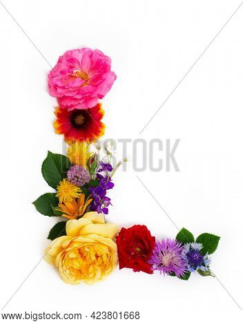 Floral summer font. Concept alphabet design, letter L. Seasonal decorative beautiful type mades of different multi-colored blooming flowers and grass. Natural summertime print