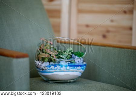 Florarium Made Of Glass Sphere With Succulents And Hypoestes Of Different Varieties. Decorative Comp