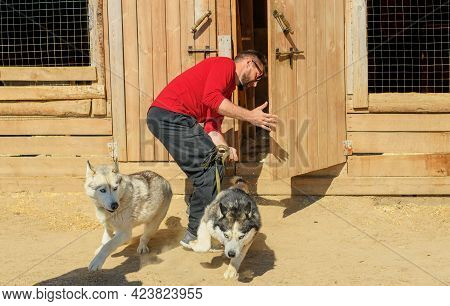 Caucasian Man And His Two Escaping Dogs Are In Outdoors.