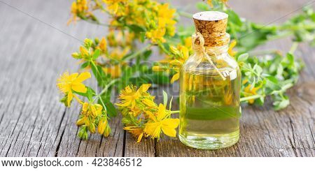 Glass Bottle Of St. John\'s Wort Essential Oil With Flowers, Alternative Medicine