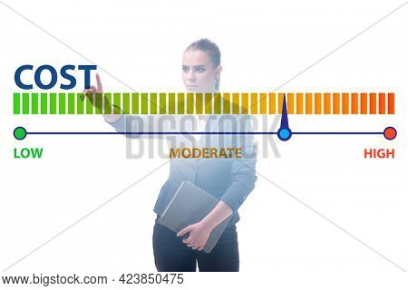 Businesswoman in cost management concept