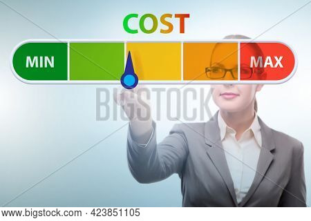 Businesswoman in cost management concept