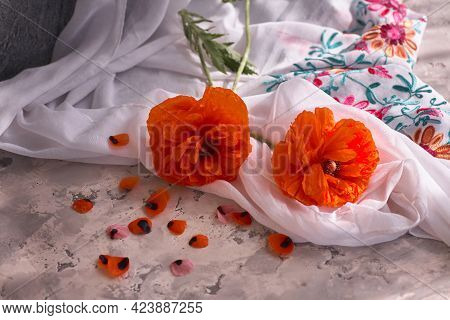Stillife With Red Poppies On Grey Concrete Background And White Drappery.