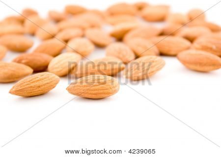 Mandorle