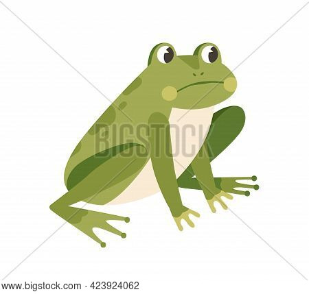Sad Frog Sitting With Unhappy Face. Funny Thoughtful Froglet. Upset Green Toad. Childish Colored Fla