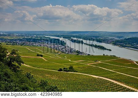 Stunning View From The Niederwaldtemple To Rhine River And Ruedesheim, Germany