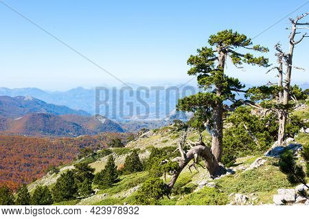 View from Serra Di Crispo, Pollino National Park,  southern Apennine Mountains, Italy.