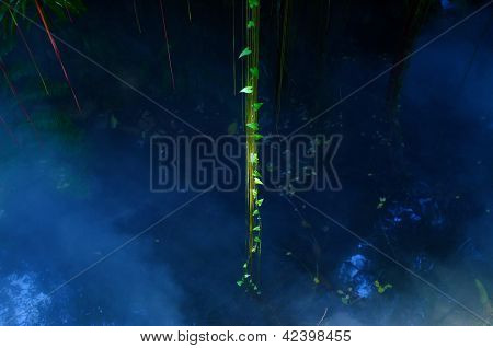 ไอวี่ในเมฆหมอกสีน้ำเงิน