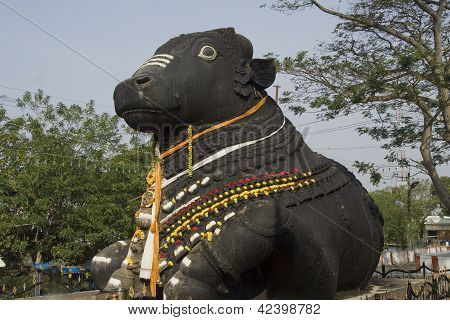 Pietra del toro a Chamundi Hills