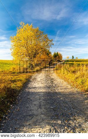 road with autumn tree near saddle Beskyd in Slovakia