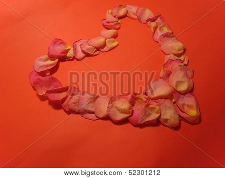 Rose Petals form of heart