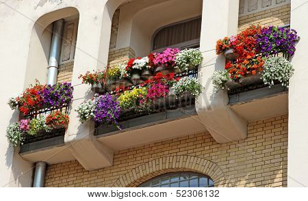 Multi-colored Flowers On Balcony