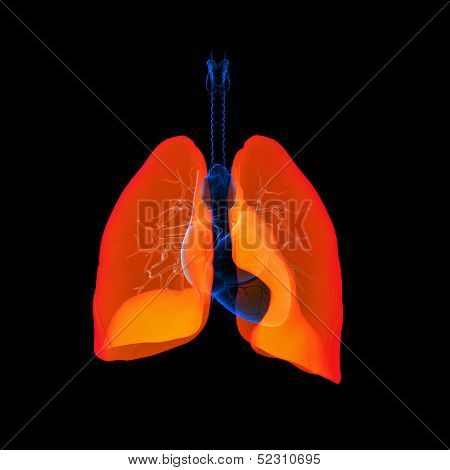 lung red