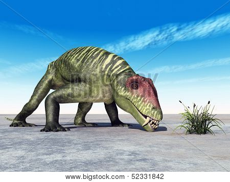 Doliosauriscus