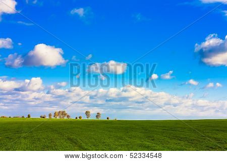 Green Field
