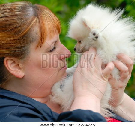 Femme nez à nez avec un Adorable chiot Pomeranian blanc
