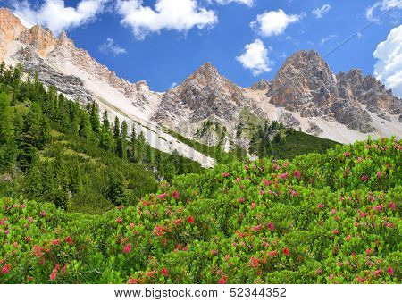 Fanes Park, Dolomites - Italy 