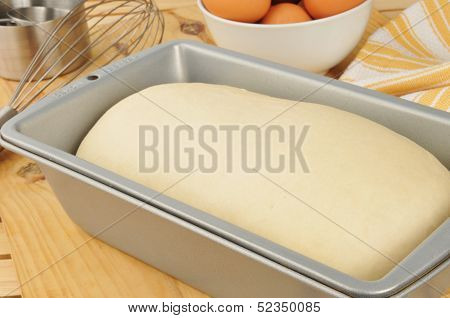 Bread Dough Rising