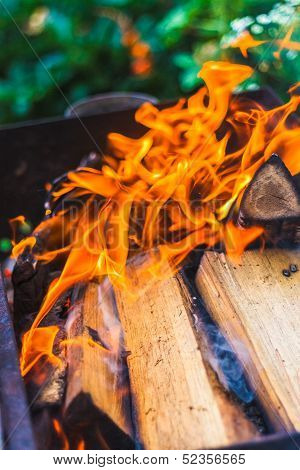 Wood On Fire