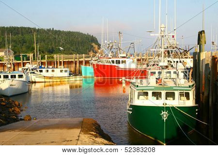 Colored boat in a harbour at Fundy Bay in Canada