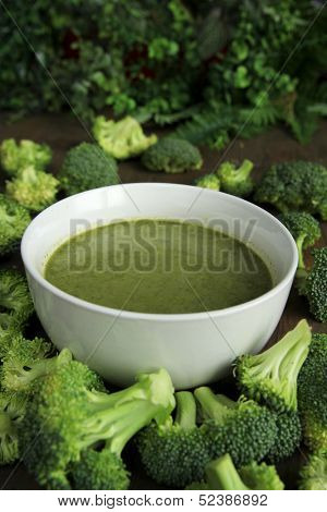 Broccoli soup in a white bowl surrounded by fresh brocolis