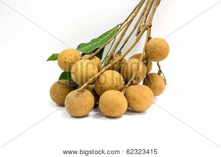 Longan