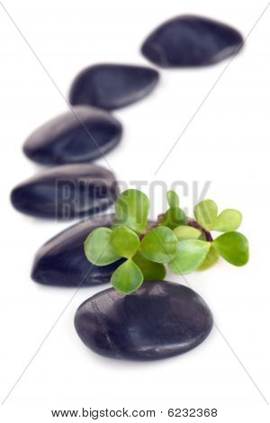 与玉按摩石