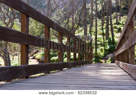 Wooden Bridge
