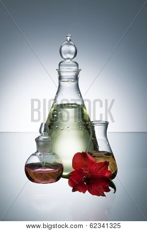 Essential Oil And Scent
