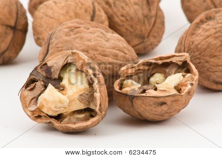 Walnut