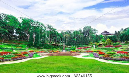 Garden Flowers