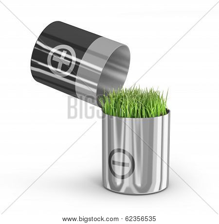 battery and a grass