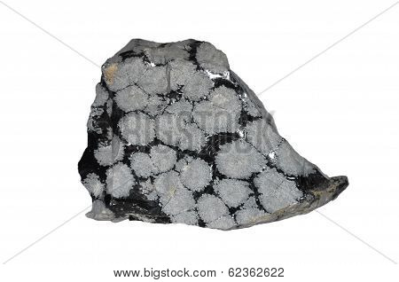 Snowflake Obsidian