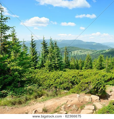 mountains covered trees and blue sky                                    