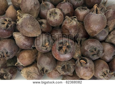 Medlar