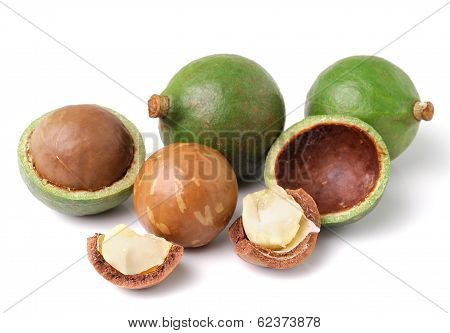 Macadamia Nuts On White Background