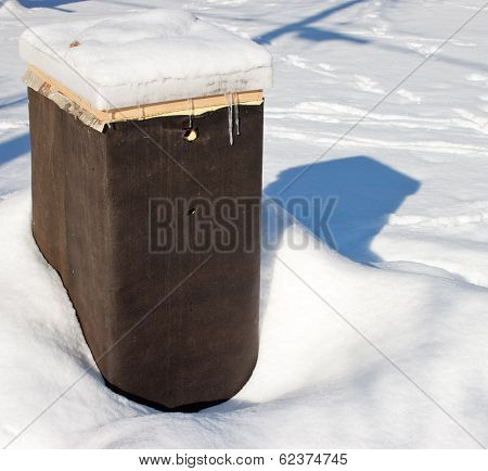 Beehive In Winter