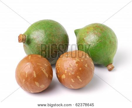 Macadamia Nuts On White Background