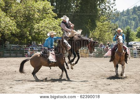 Bronc Ride