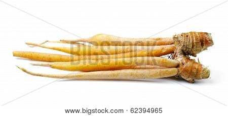 Fingerroot, Kaempfer, Boesenbergia On White Background