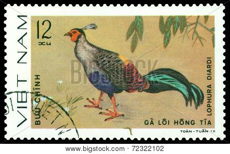 Vintage  Postage Stamp. Bird Lophura Diardi.