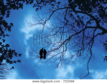 Two birds, blue sky, dead branches