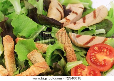 Beautiful caesar salad.