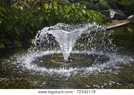 Park water fountain